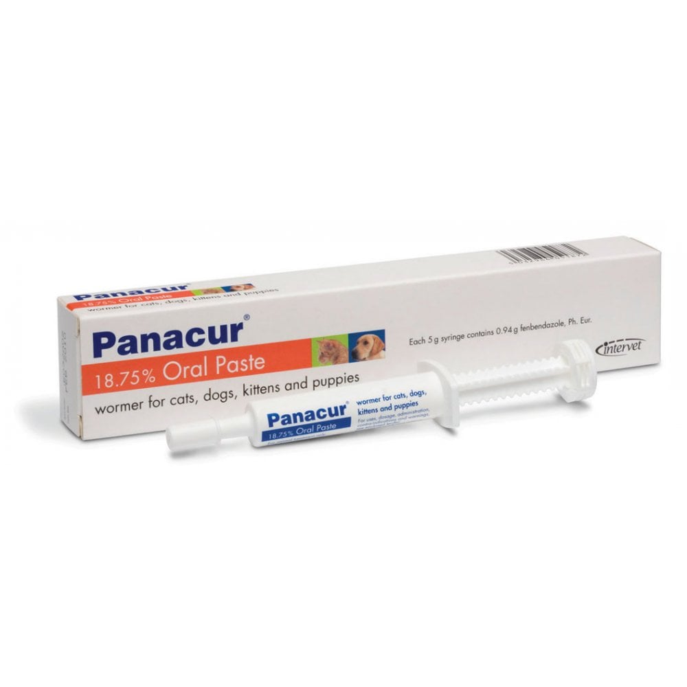 Panacur Paste Puppies & Kittens Syringe 5g