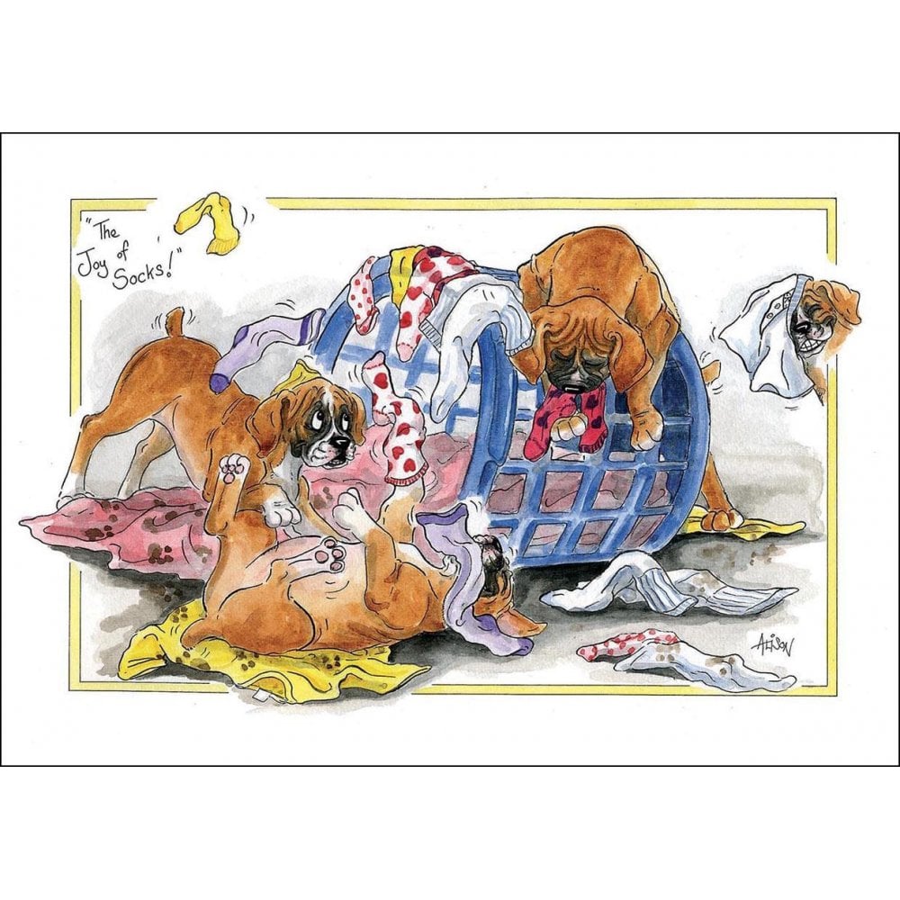 Splimple "The Joy Of Socks" Greetings Card