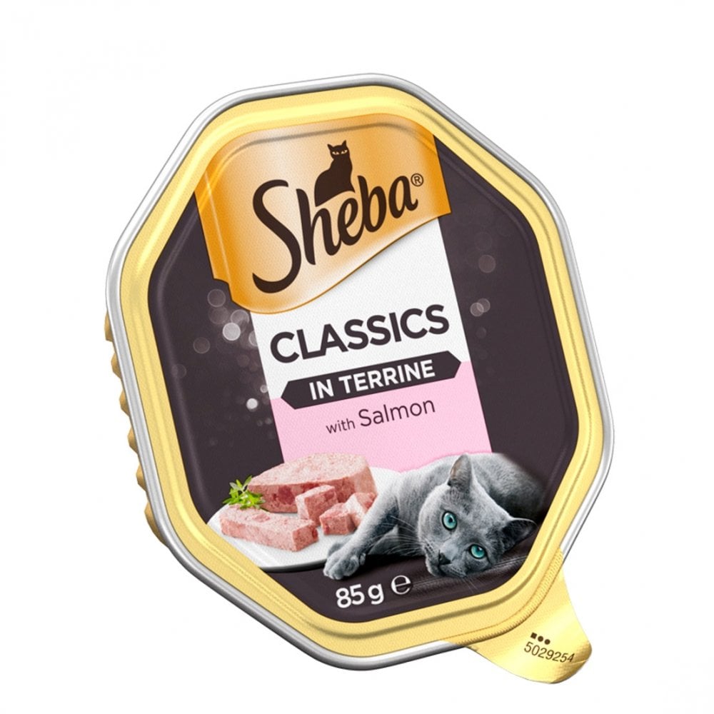 Sheba Classics Wet Cat Food with Salmon in Terrine Multipack