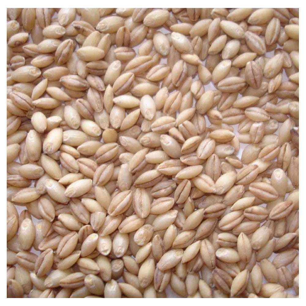 Johnston & Jeff Whole English Barley for Wild Birds 20kg