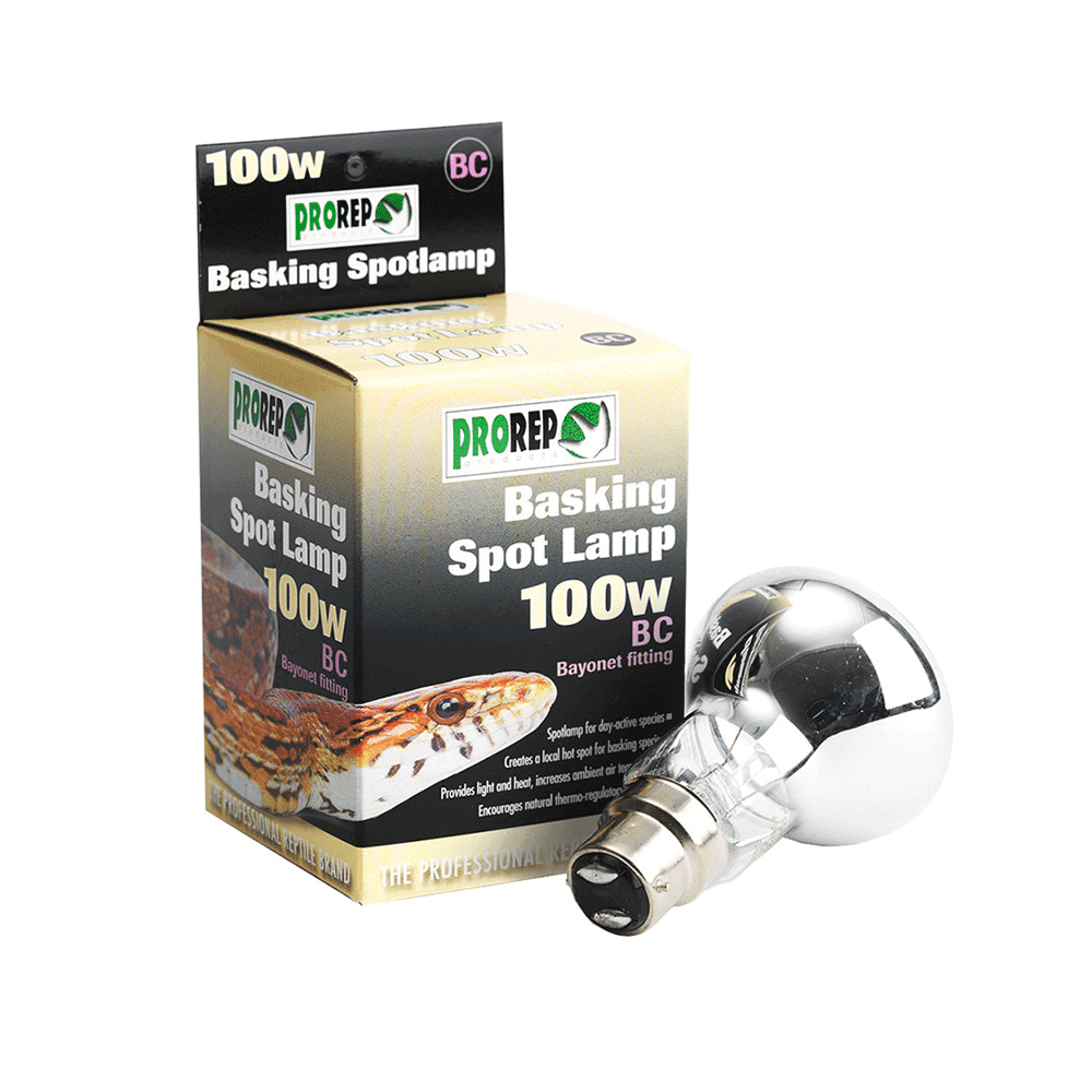 PR Basking Spotlamp 100W BC