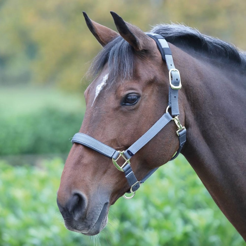 The Shires Topaz Padded Headcollar in Grey#Grey