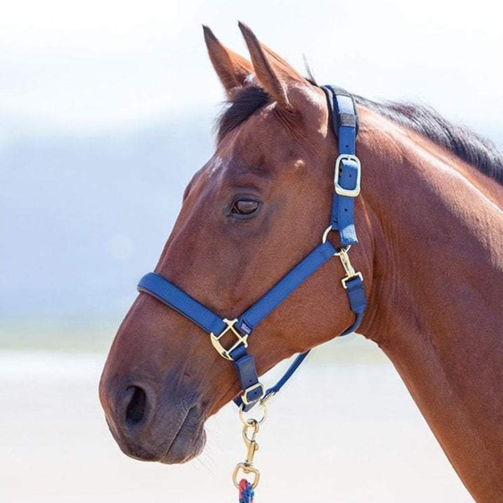 The Shires Topaz Padded Headcollar in Navy#Navy
