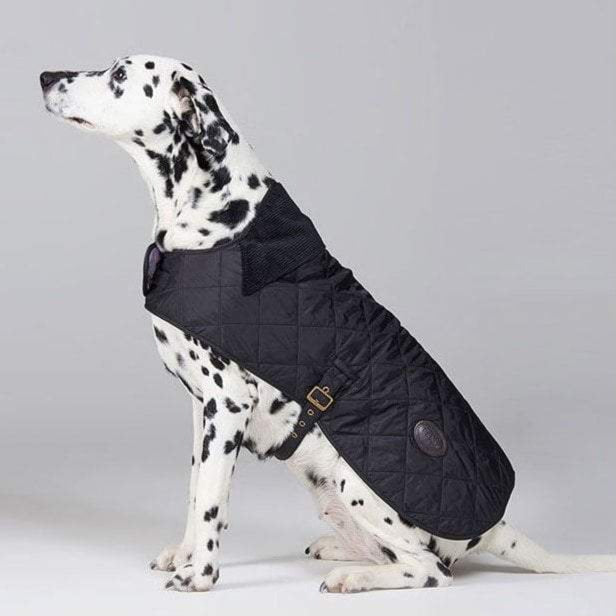 The Barbour Quilted Dog Coat in Black#Black