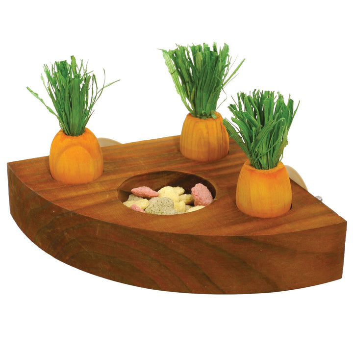 Bordom Breaker Carrot Toy & Treat Holder for Small Pets