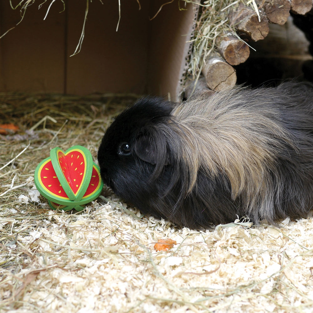 Boredom Breaker Woodies Fruity Roller for Small Pets