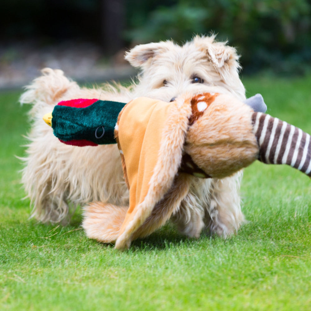 House of Paws Plush Pheasant Dog Toy