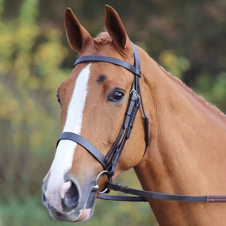 The Shires Velociti GARA Plain Cavesson Bridle in Black#Black