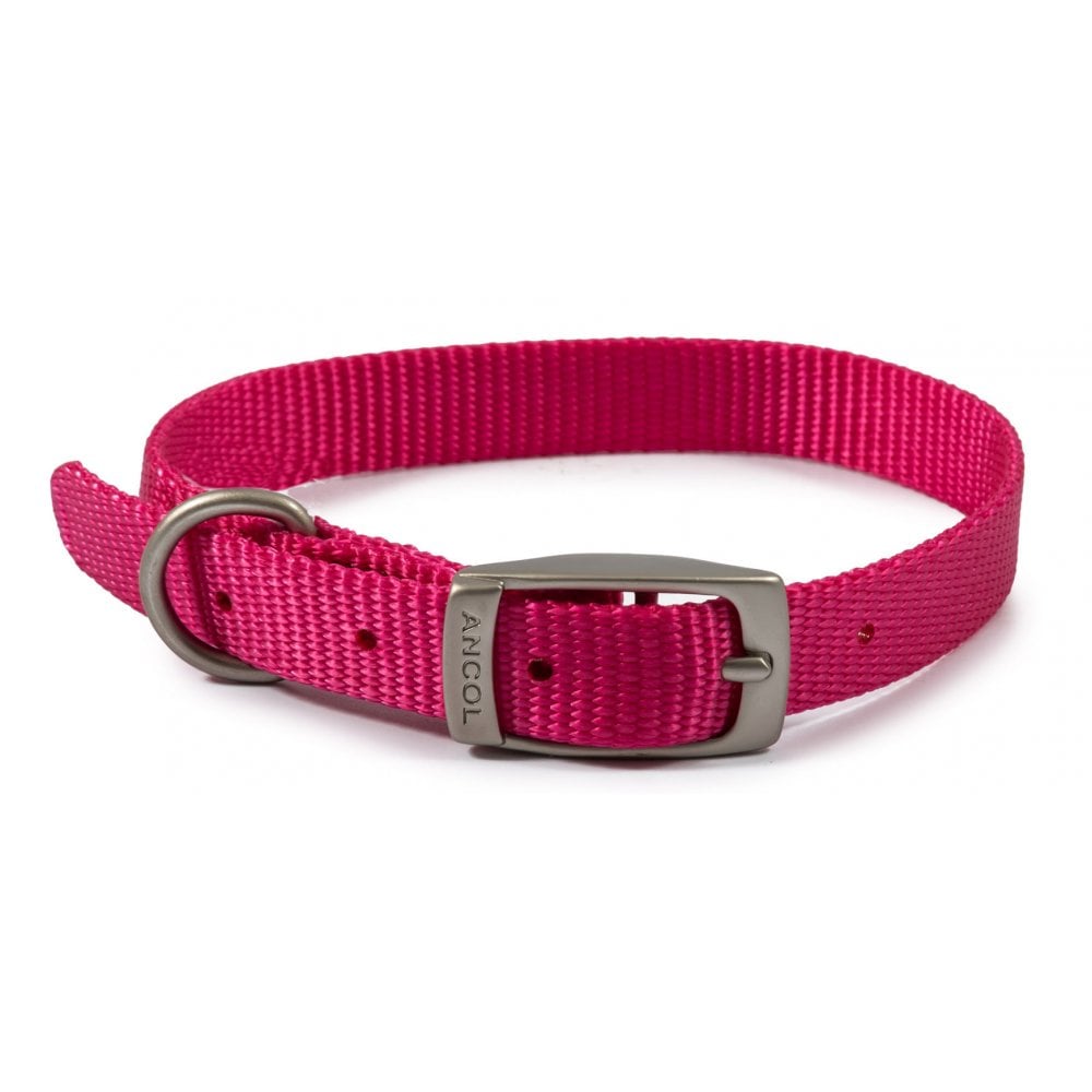 The Ancol Viva Buckle Dog Collar in Pink#Pink