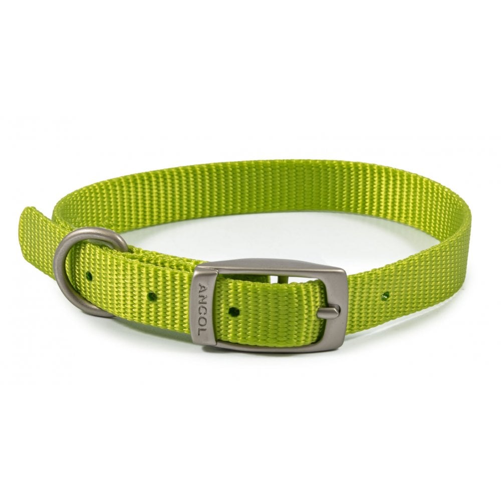 The Ancol Viva Buckle Dog Collar in Lime#Lime