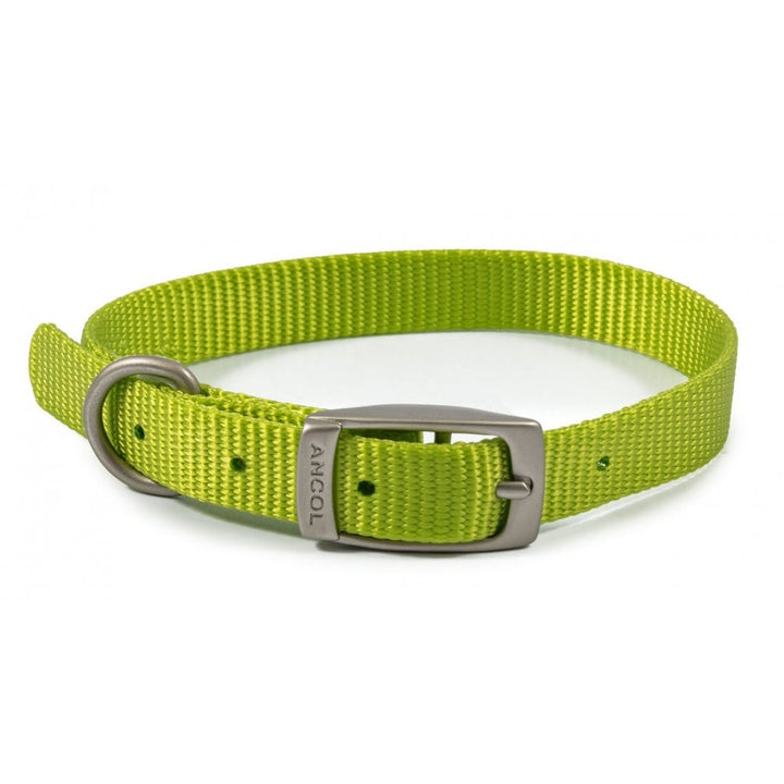 The Ancol Viva Buckle Dog Collar in Lime#Lime