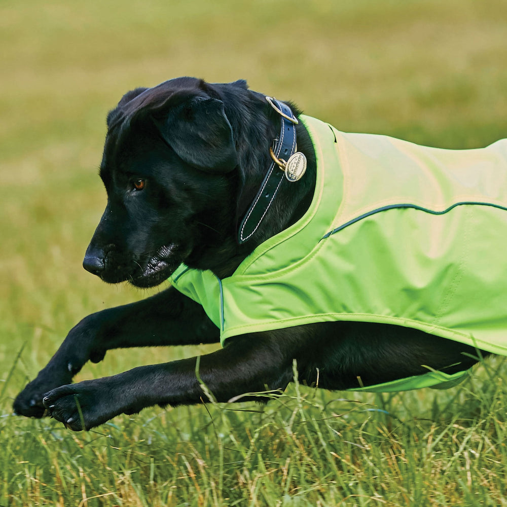 Weatherbeeta Reflective Exercise Dog Coat