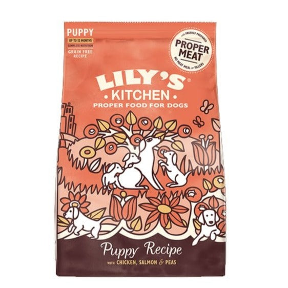 Lily's Kitchen Puppy Free Run Chicken & Salmon 1kg