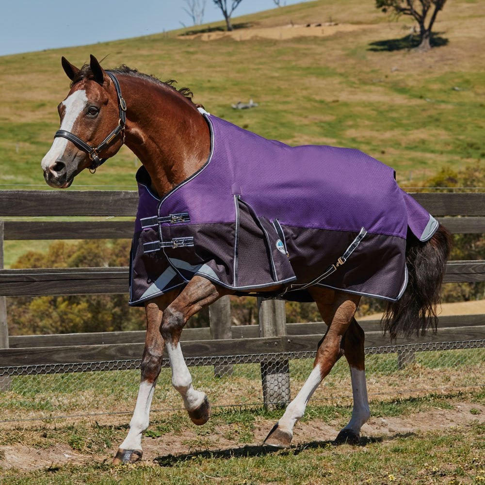 The Weatherbeeta Comfitec Plus Dynamic Mediumweight Turnout Rug in Purple#Purple