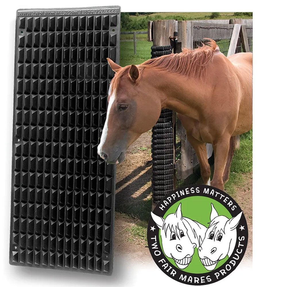 The Shires Equine Scratcher in Black#Black