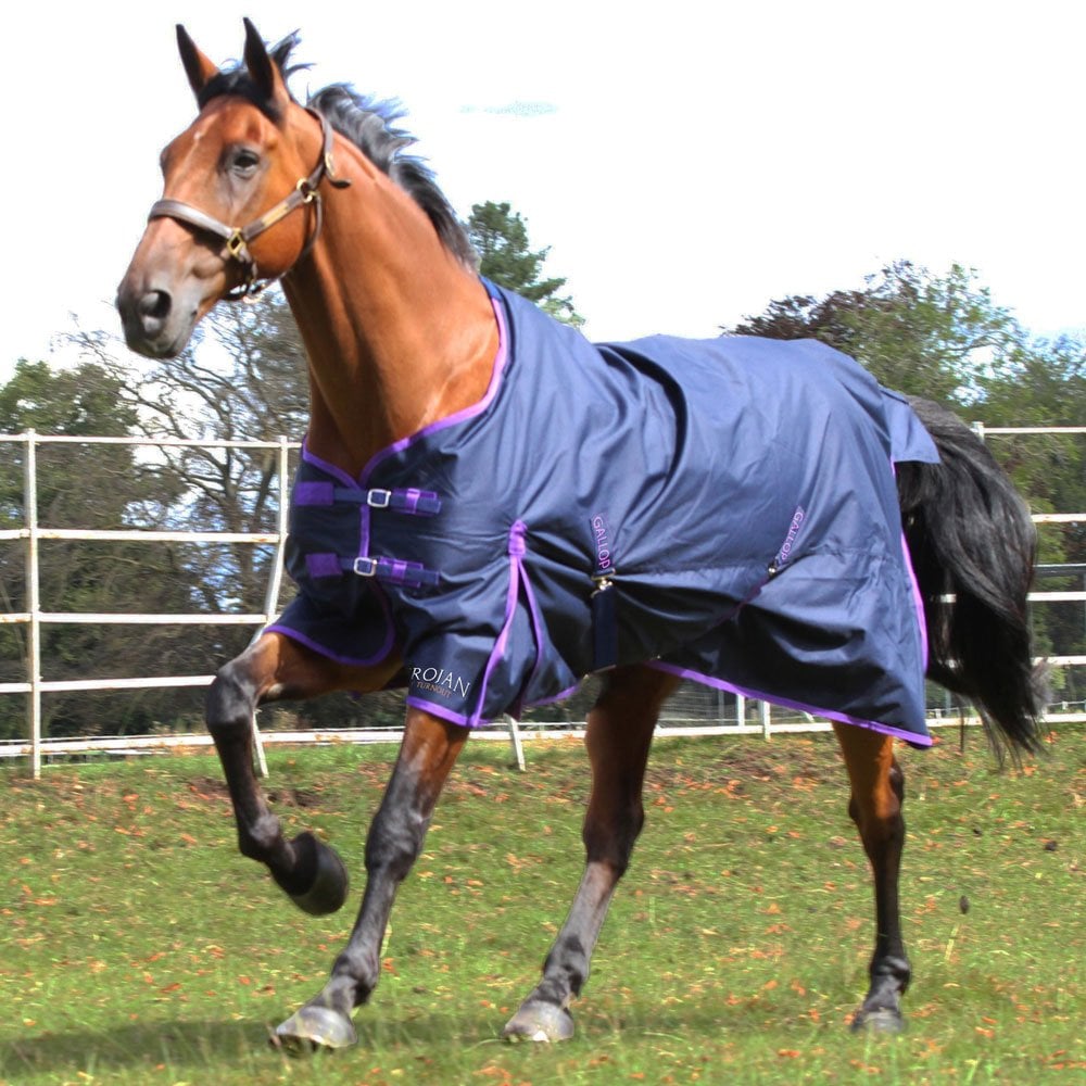 The Gallop 0g Standard No Fill Turnout Rug in Navy#Navy