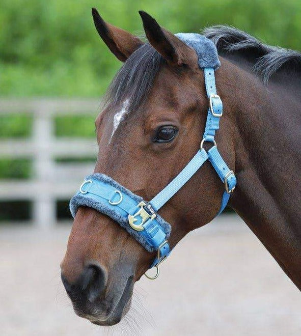 The Shires Fleece Lined Lunge Cavesson in Blue#Blue