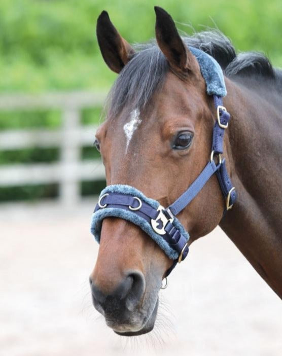 The Shires Fleece Lined Lunge Cavesson in Navy#Navy