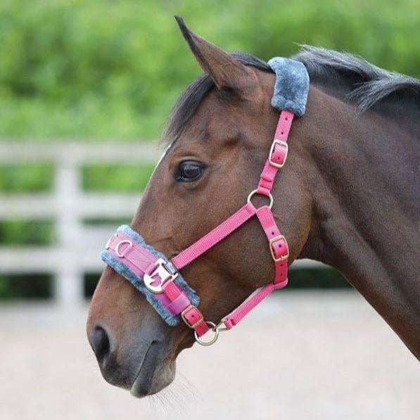 The Shires Fleece Lined Lunge Cavesson in Pink#Pink