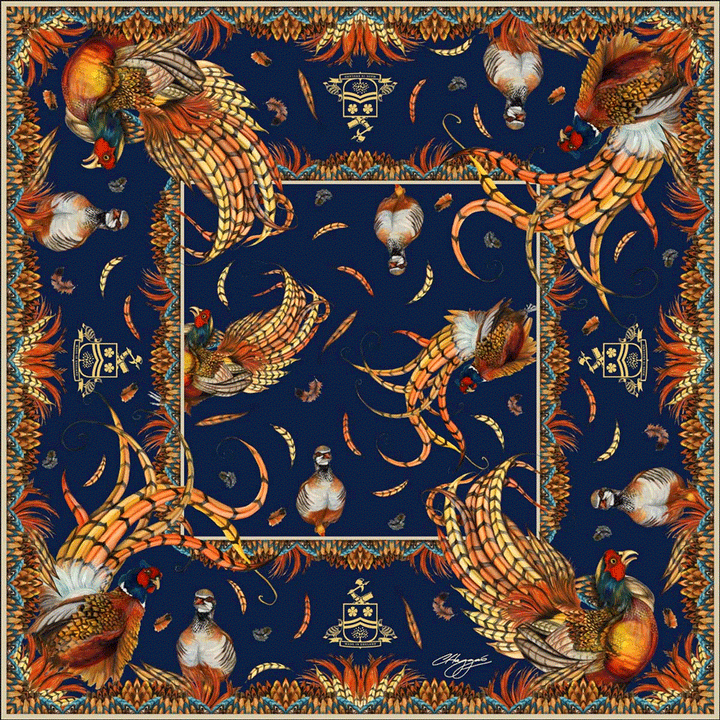 Clare Haggas Ladies Large Silk Heads & Tails Scarf