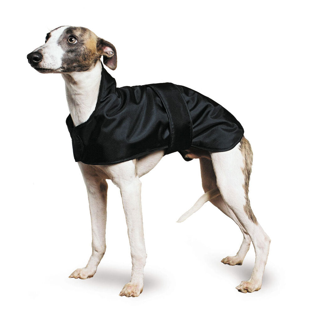 The Ancol Greyhound Coat in Black#Black