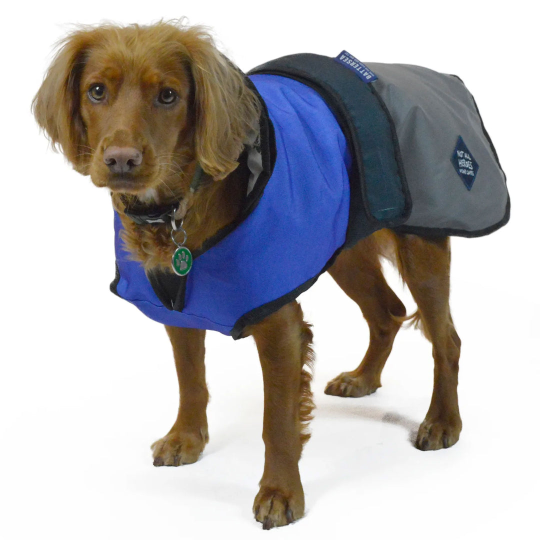 The Danish Design Battersea 2-in-1 Dog Coat in Blue#Blue