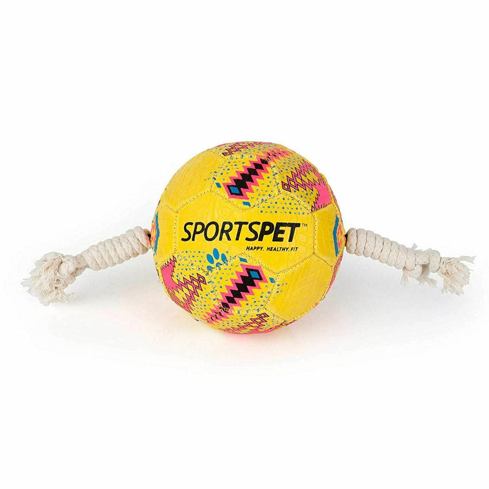 Sportspet Dog Football