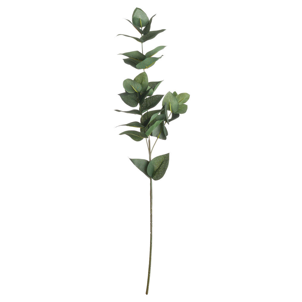 Millbry Hill Eucalyptus Filler