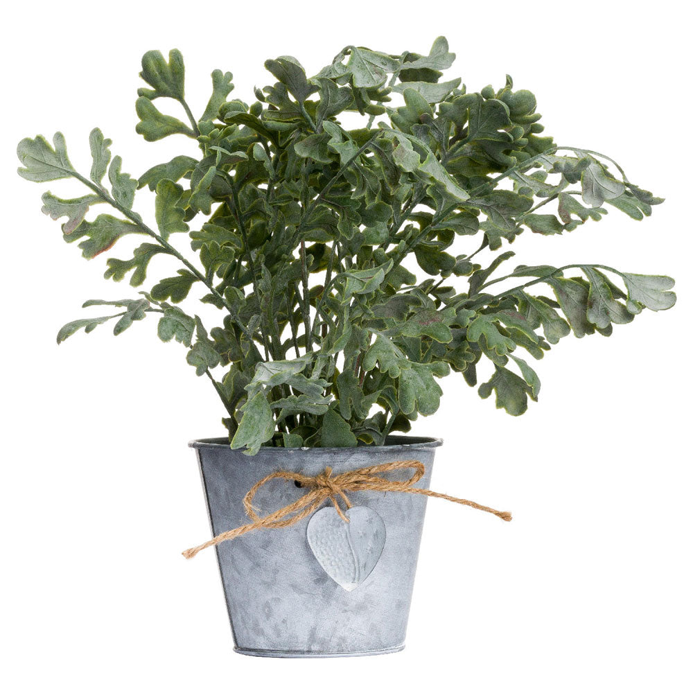 Millbry Hill Herbs In Tin Pot