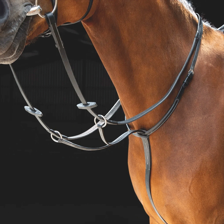 The Shires Salisbury Running Martingale in Black#Black