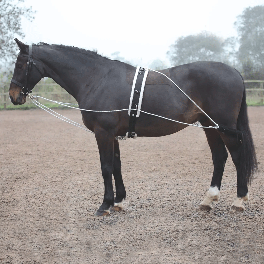 The Shires Lunging Aid in Black#Black