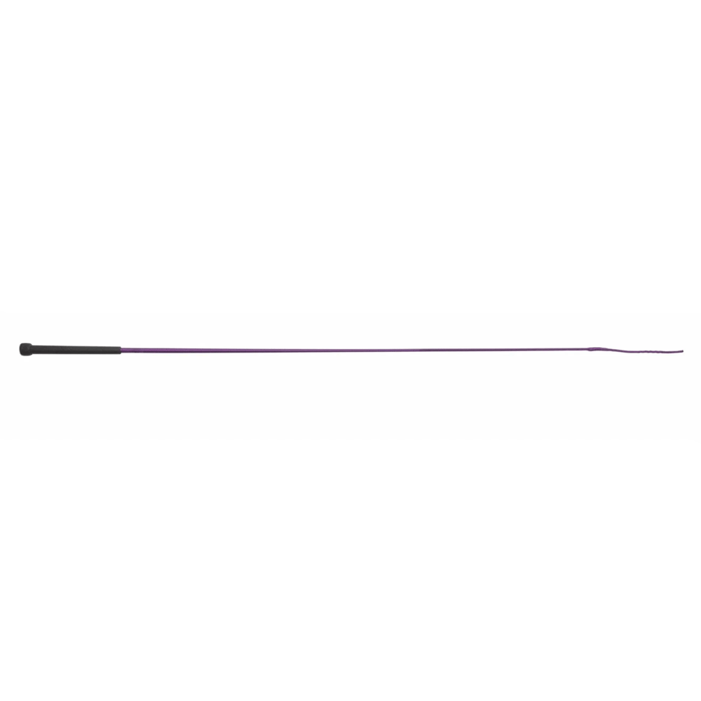 The Shires Economy Schooling Whip in Purple#Purple