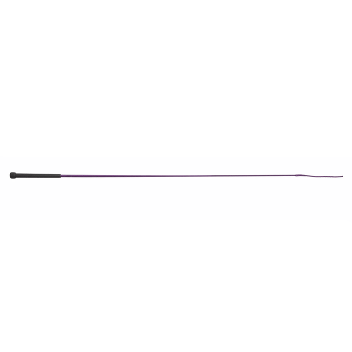 The Shires Economy Schooling Whip in Purple#Purple