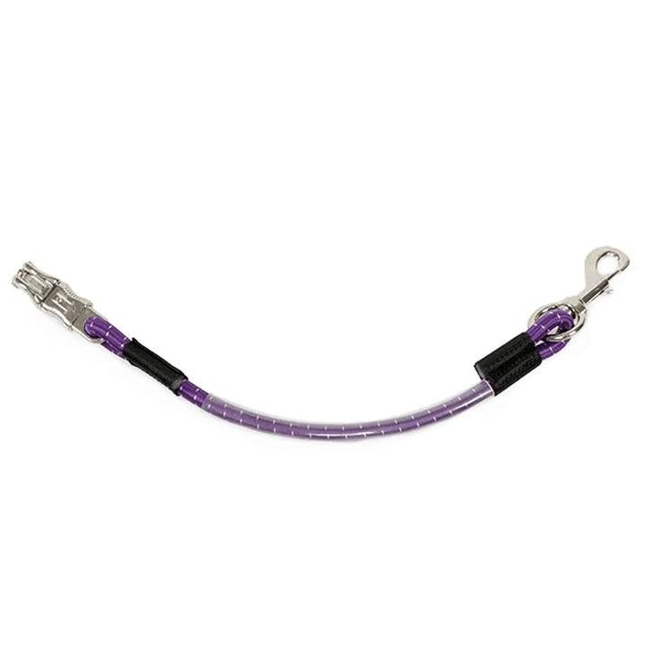 The Shires Heavy Duty Bungee Trailer Tie in Purple#Purple