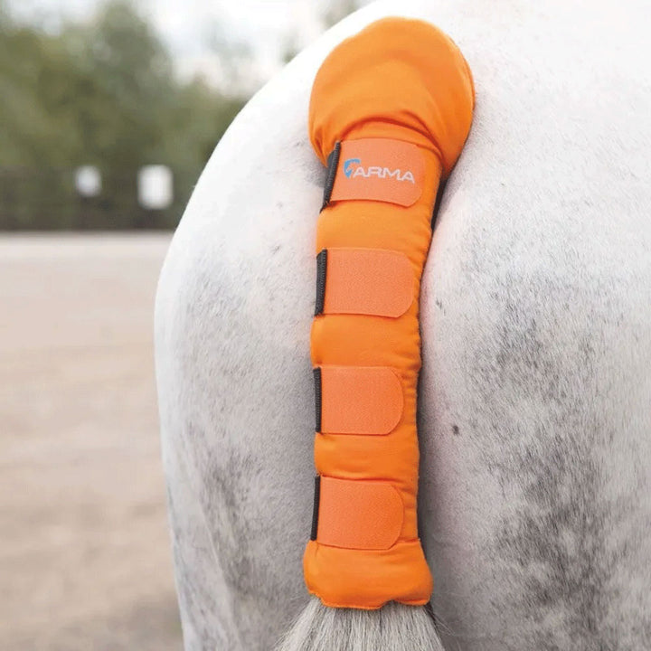 The Shires Arma Padded Tail Guard in Orange#Orange