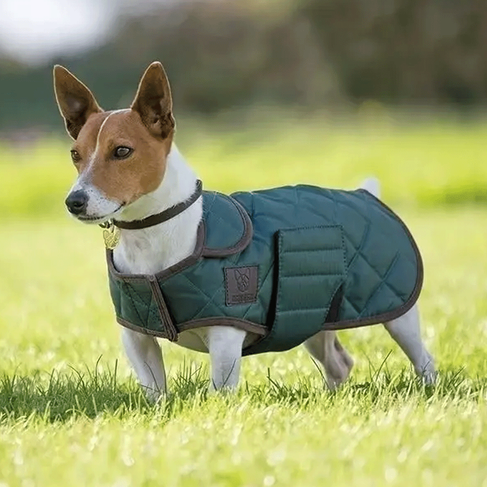 The Digby & Fox Quilted Dog Coat in Green#Green