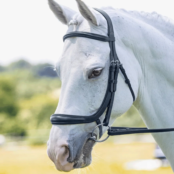 The Shires Velociti Ergononic Cavesson Bridle in Black#Black