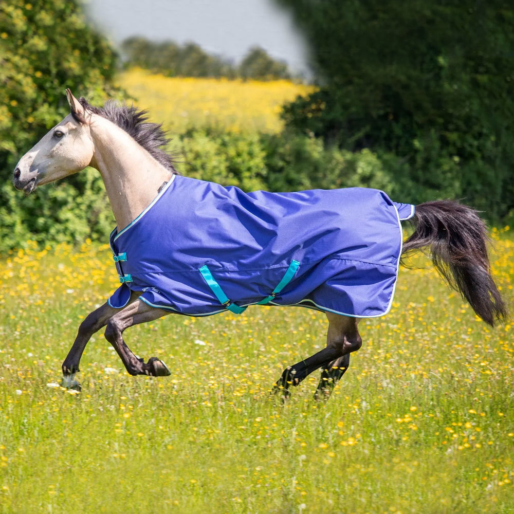 Shires Tempest Original 100g Turnout Rug