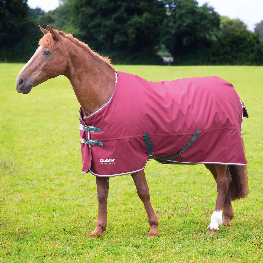 The Shires Tempest Original 200g Turnout Rug in Burgundy#Burgundy