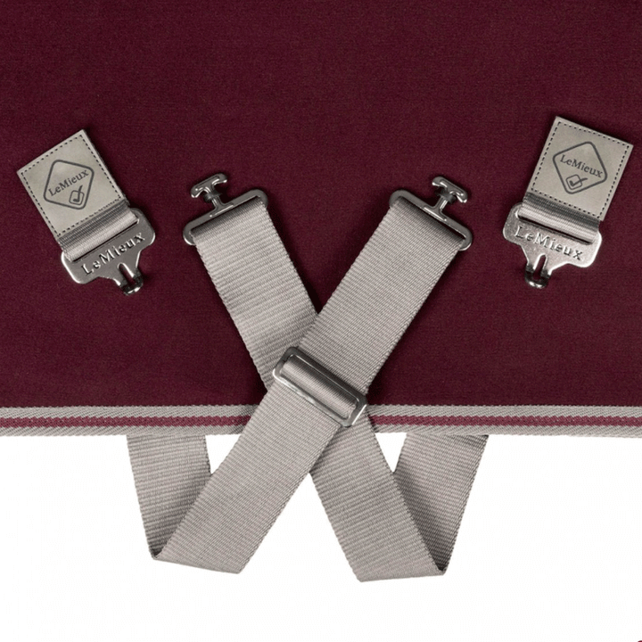 LeMieux Arika Jersey-Tek Fleece Rug