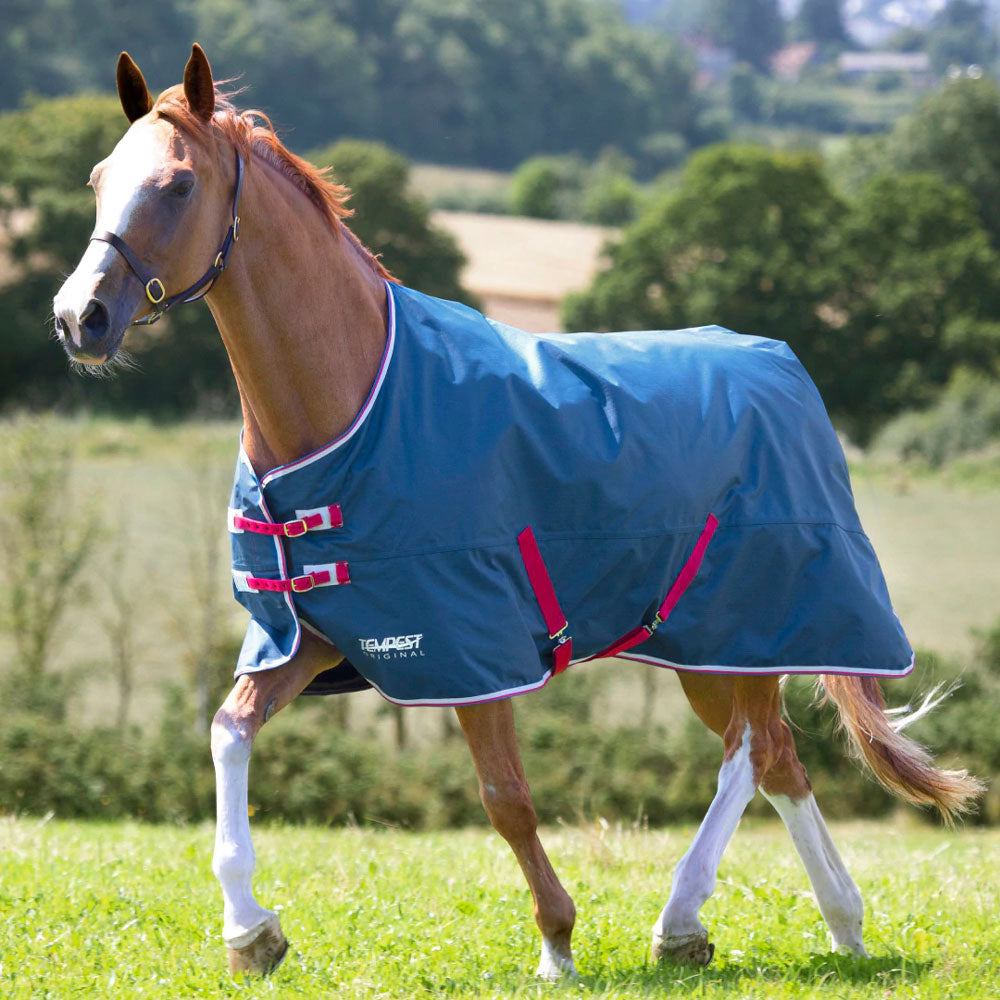 The Shires Tempest Original Lite Turnout Rug in Turquoise#Turquoise