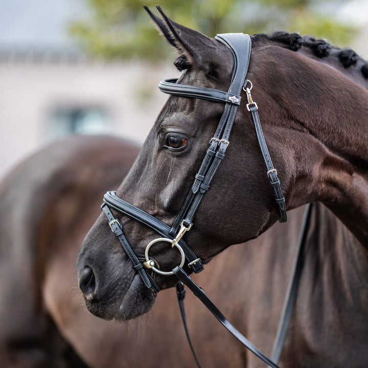 LeMieux Work Bridle with Flash