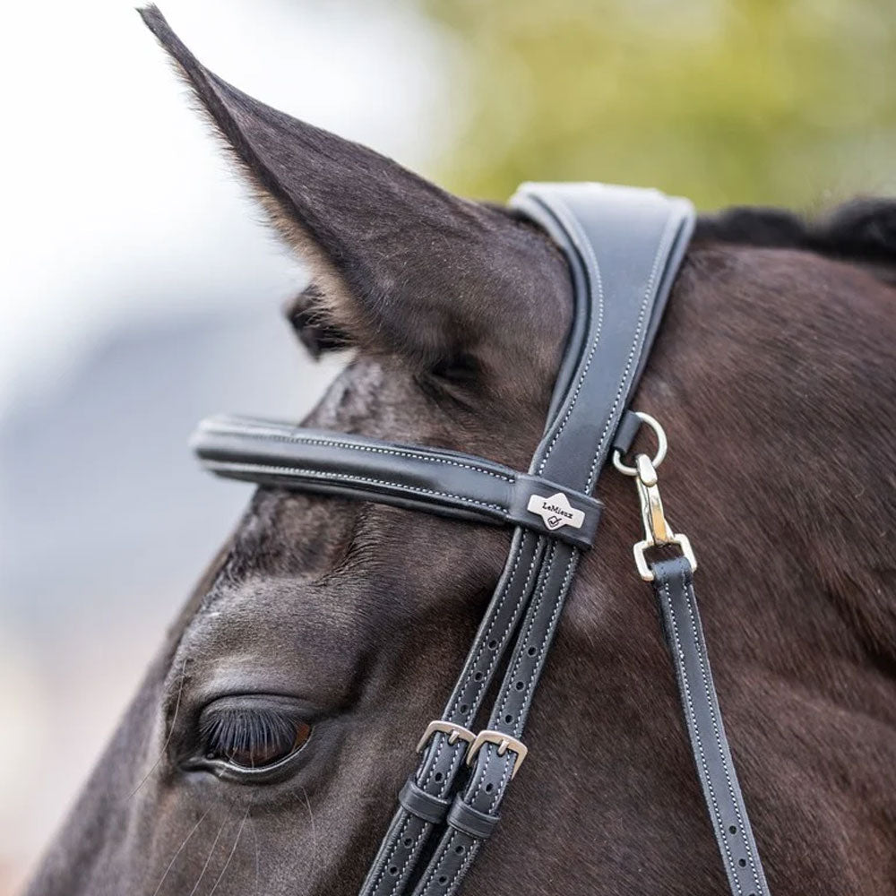 LeMieux Work Bridle with Flash