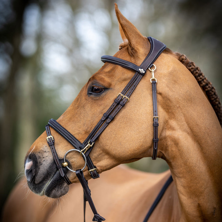 LeMieux Work Bridle with Flash