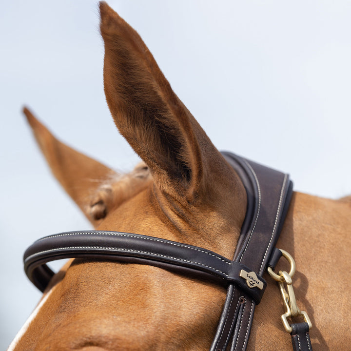 LeMieux Work Bridle with Flash