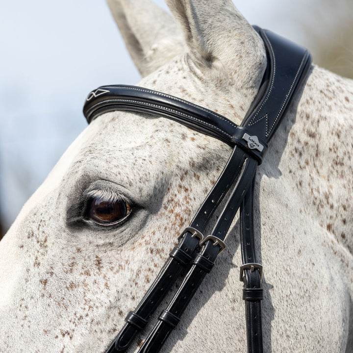 LeMieux Competition Flash Bridle