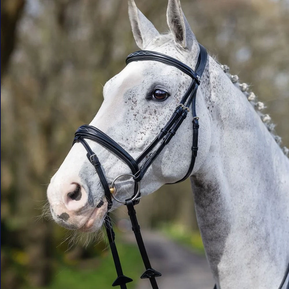 LeMieux Competition Flash Bridle