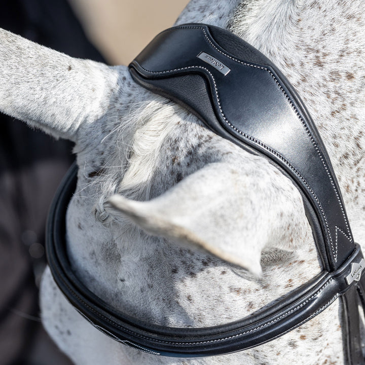 LeMieux Competition Flash Bridle