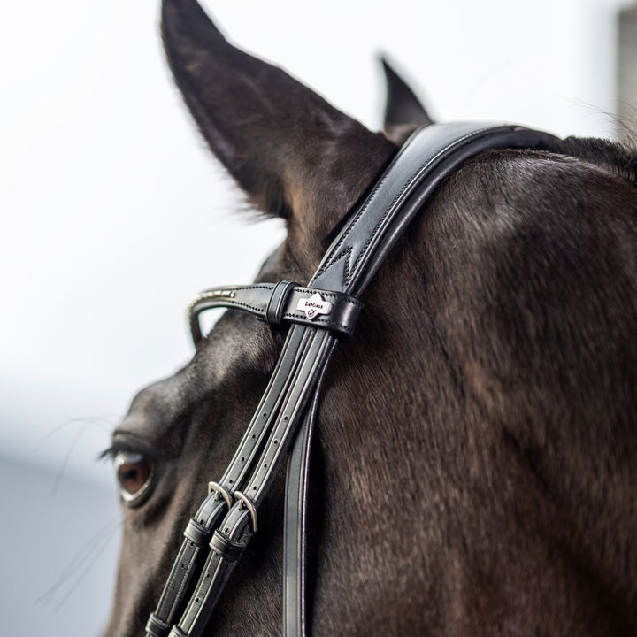 LeMieux Classic Dressage Bridle with Flash