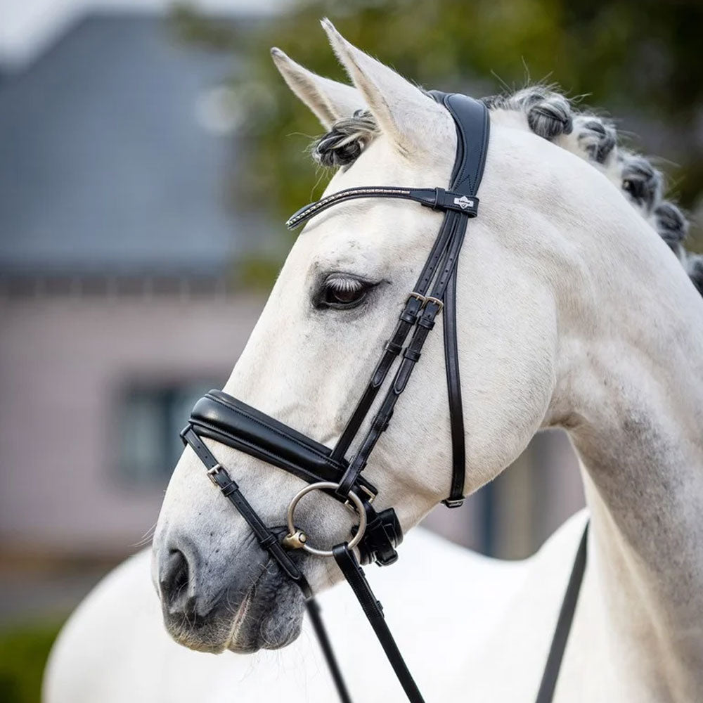 LeMieux Classic Dressage Bridle with Flash